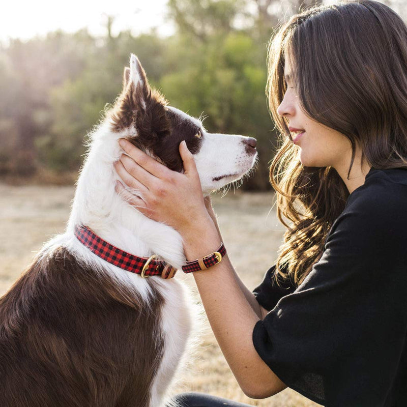 [Australia] - FriendshipCollar Dog Collar and Matching Bracelet Set - The Hipster Pup - Vegan Leather - 8 Every Purchase Helps Feed Hungry Shelter Pups Medium 