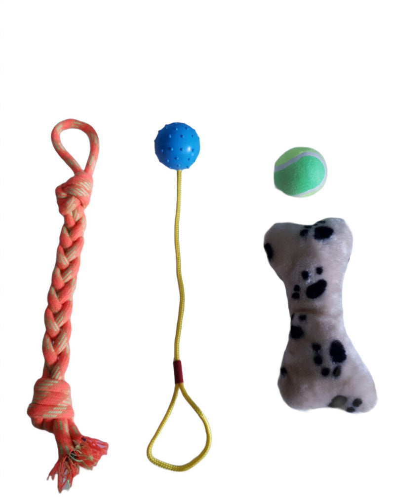 SPENSTORE Dog Toys Set of 4 PCS Puppy Boredom Teething Anxiety Exercise Rope Tug Toy Ball Pimple Ball Sqeaky Plush Bone - PawsPlanet Australia