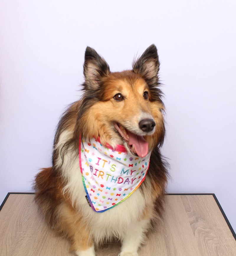 Pet London Dog or Cat Birthday Bandana Reversible in Fun Happy Bright Colours - Celebrate Dog's Happy Birthday for Boy or Girl-Rainbow Pattern, Party Bday or Adoption Gift Celebration Small 10-18" - PawsPlanet Australia