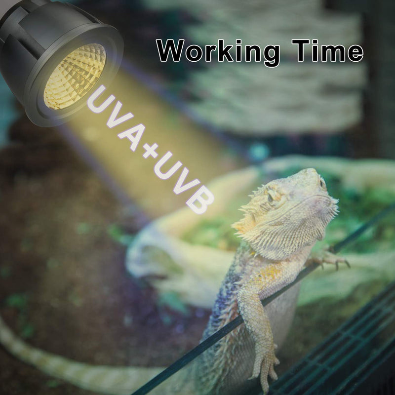 Honpal Led Reptile Light, LED UVA + UVB Sun Lamp for Amphibian Turtle Bearded Dragons Chameleon Lizard and Snake. (3W) 3.0 Watts - PawsPlanet Australia