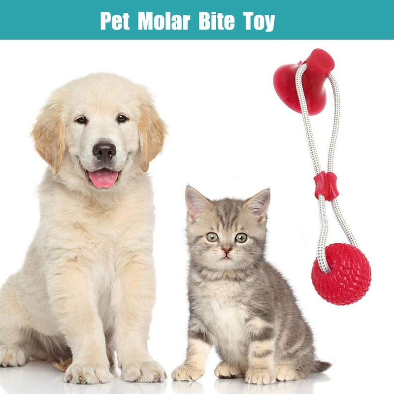 Pet Molar Bite Toy, Suction Cup Dog Toy Rubber Chew Toys Interactive Puppy Training Rope For Teeth Cleaning Pet Supplies (Red) Red - PawsPlanet Australia