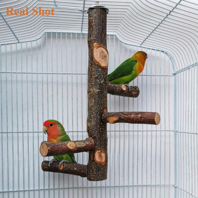 [Australia] - kathson Bird Perch Natural Apple Wood Stand Toy Branch Paw Grinding Standing Climbing Toy Cage Accessories for Small and Medium Parrots,Parakeets,Lovebirds,African Grey,Cockatiels 