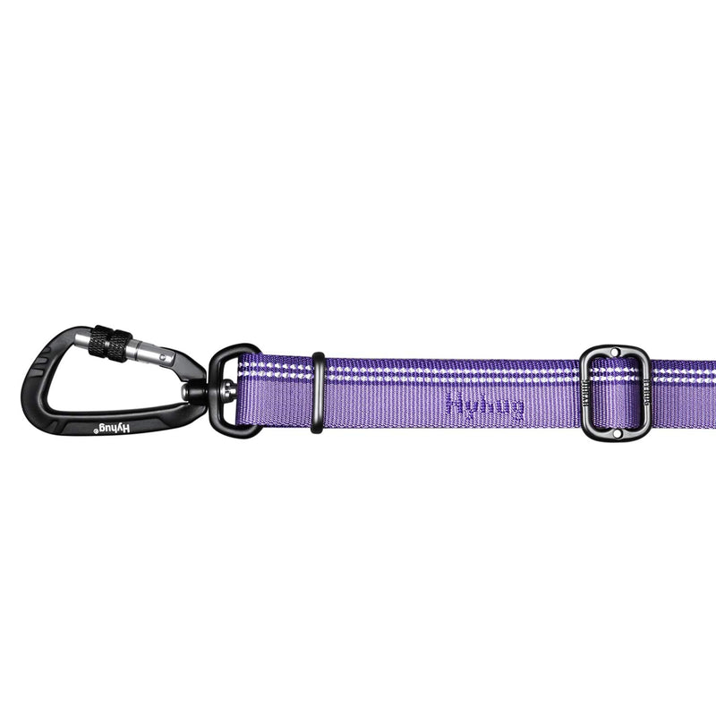 Hyhug 2021 Strong 3M Reflective Nylon Dog Lead, Comfortable Dog Belt Handle, Adjustable Length, Stylish, Wear-Resistant, Night Walks Safe (1800cm, Paisley Purple) 1800cm - PawsPlanet Australia