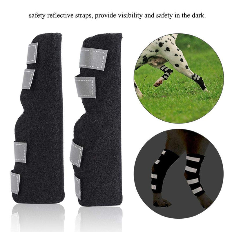 Dog Rear Leg Brace Canine Hock Wrap Joint Brace Hind Leg Support with Safety Reflective Straps Prevents Injuries Sprains Helps Loss Stability (L) L - PawsPlanet Australia