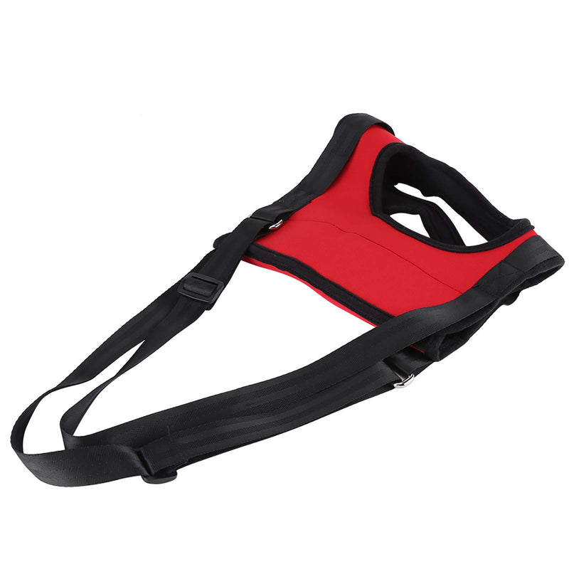 Oumefar 2Types Dog Support Harness Lifting Aid Harness Walking Aid Lifting Pulling Vest for Old Injured Dogs Full Front and Back(Rear Leg M) Rear Leg M - PawsPlanet Australia