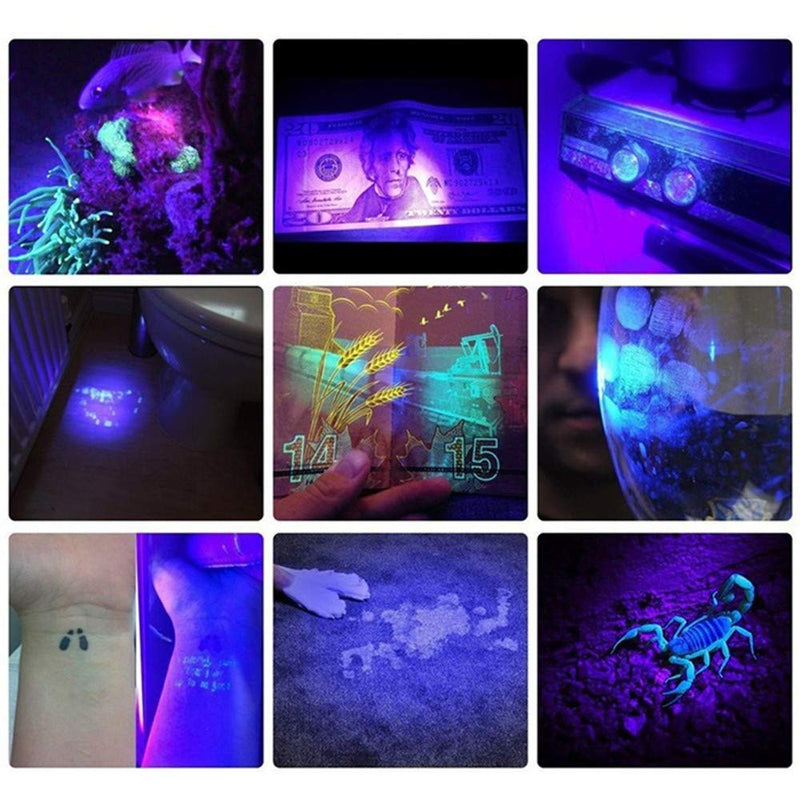 UV Torch Pets Black Light Led Lights UV Dogs/Cats Urine Detector Flashlight Black Light Ultraviolet Lamp Super Bright UV Light, for Pet Stain Find Dry Stains on Carpets/Rugs/Floor - PawsPlanet Australia