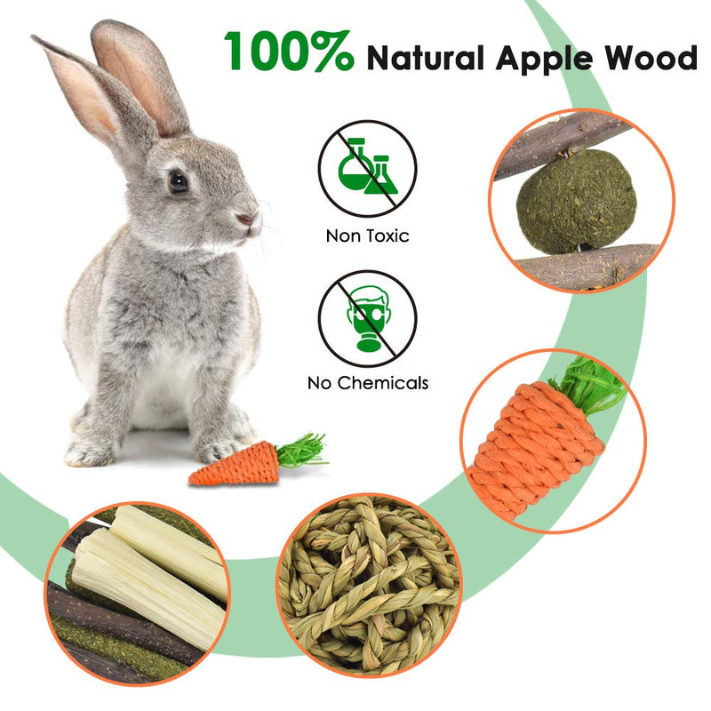 KATUMO Rabbit Chew Toys, Hamster Toys Natural Apple Wood Guinea Pigs Chewing Toys Bunny Ball Toys Teeth Care Toys for Rabbits Guinea Pigs Squirrel Gerbils Small Rodent Pets Chewing and Playing - PawsPlanet Australia