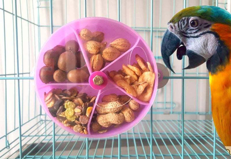 Whchiy Creative Parrot Foraging Toy Intelligence Growth Foraging Systems for Bird - PawsPlanet Australia