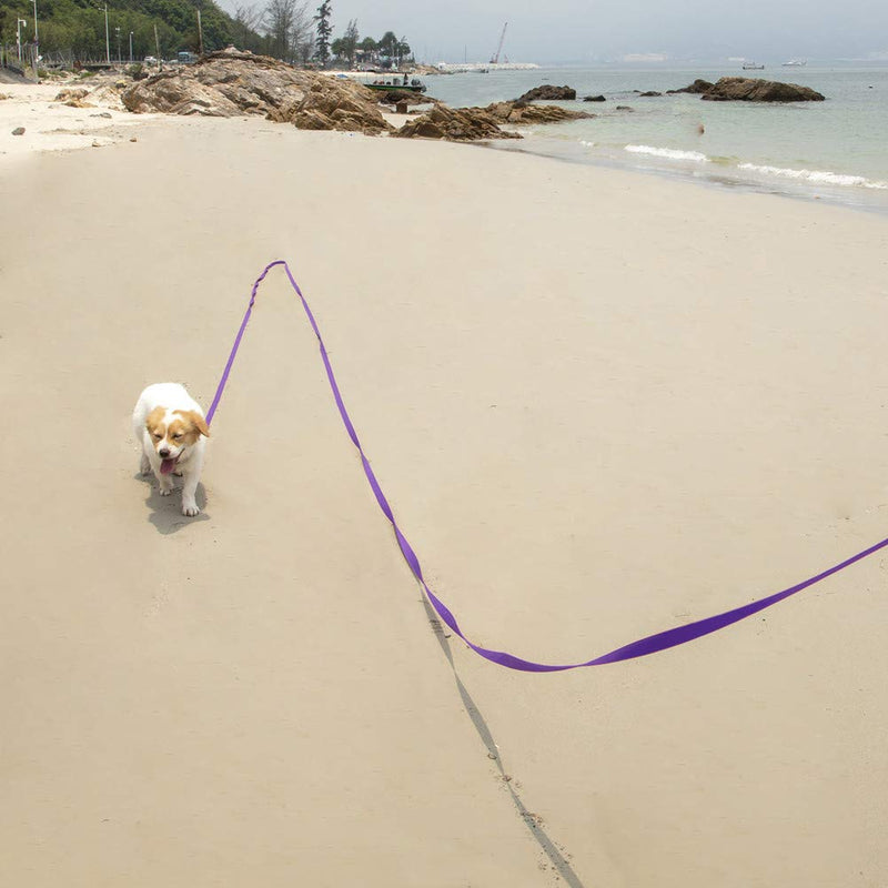 Vivifying Dog Training Lead Leash, 32FT/10M Long Nylon Training Dog Leash for Pet Tracking Training Obedience Lead Leash (Purple) Purple - PawsPlanet Australia