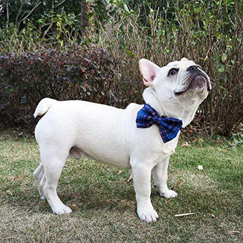 Pet Heroic Pet Dog Cat Collar with Grid Bow tie, Adjustable Plaid Pet Dogs Cats Comfortable Durable Bowtie Collars for Small Medium Large Dogs Cats in 3 Styles S - PawsPlanet Australia