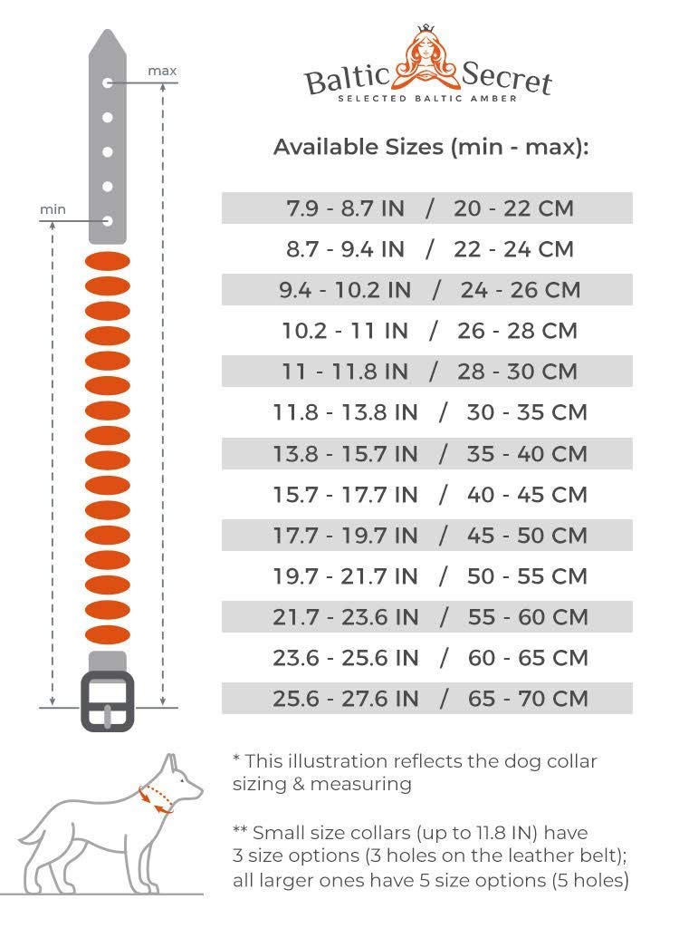 Amber dog collar with EM ceramic pipes - effective MICRO - ORGANISMS - flea treatment for dogs and cats - natural tick protection 35-40 cm - PawsPlanet Australia