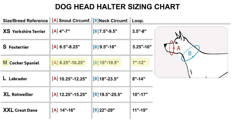 [Australia] - Dog Head Collar Halter Black 6 Sizes M: 8.25"-10.25" Snout 