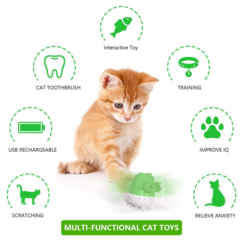 Achort Cat Toys, Cat Toothbrush Toy Interactive Chew Catnip Toy, Funny Kitten Teeth Cleaning toothbrush Nontoxic Natural Rubber Bite Resistant Toys (Green) - PawsPlanet Australia