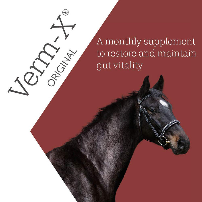 Verm-X All Natural Liquid for Horses and Ponies. Supports Intestinal Hygiene. Vet Approved. UFAS Assured.  Restores and Maintains Gut Vitality. Wormwood Free Recipe, clear 500ml - PawsPlanet Australia