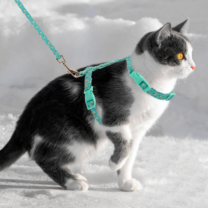 SCIROKKO Cat Harness and Leash Set for Walking - Ultralight Adjustable Harness with Cute Pineapple Pattern for Kitten, Escape Proof Pet Outdoor Kitty Accessories - PawsPlanet Australia