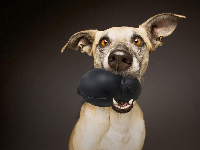 [Australia] - Penguin Durable Dog Chew Toys, Freezable Stuffable Puppy Treat Dispensing Chew Toys, Natural Rubber Interactive Puzzle Game Dog Toys for Small Medium Large dogs, Fun to Chase and Fetch, Beef Flavor Black 