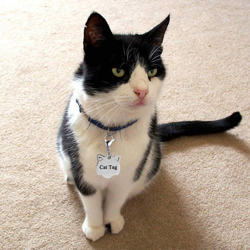 [Australia] - IVIA Dog Tag Clips / 316 Stainless Steel Lobster Buckle with Rings for Cat& Dog Collars and Necklace 2 Pack Silver 