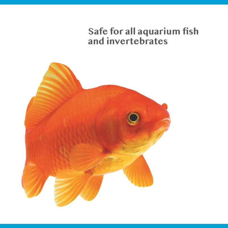 Interpet Bioactive Tapsafe, Aquarium Water Dechlorinator, 50 ml Clear 50 ml (Pack of 1) - PawsPlanet Australia