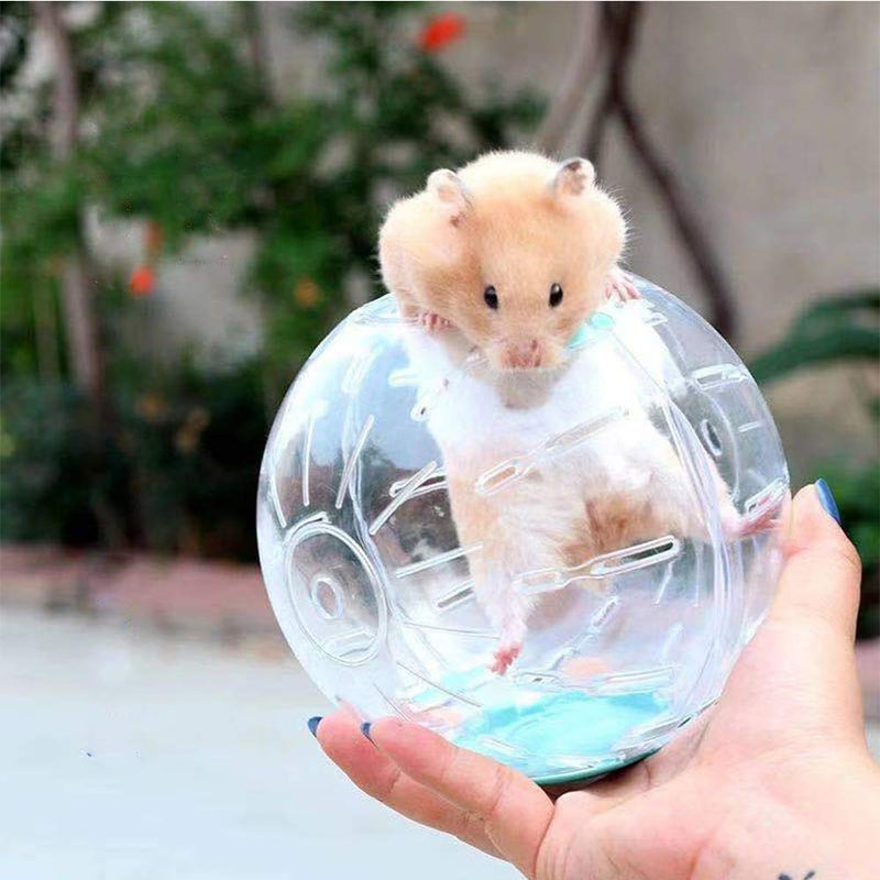 Zhang Ku 5.5inch Plastic Outdoor Sport Ball Grounder Rat Small Pet Rodent Mice Jogging Ball Toy Hamster Gerbil Rat Exercise Balls Play Toys Blue - PawsPlanet Australia