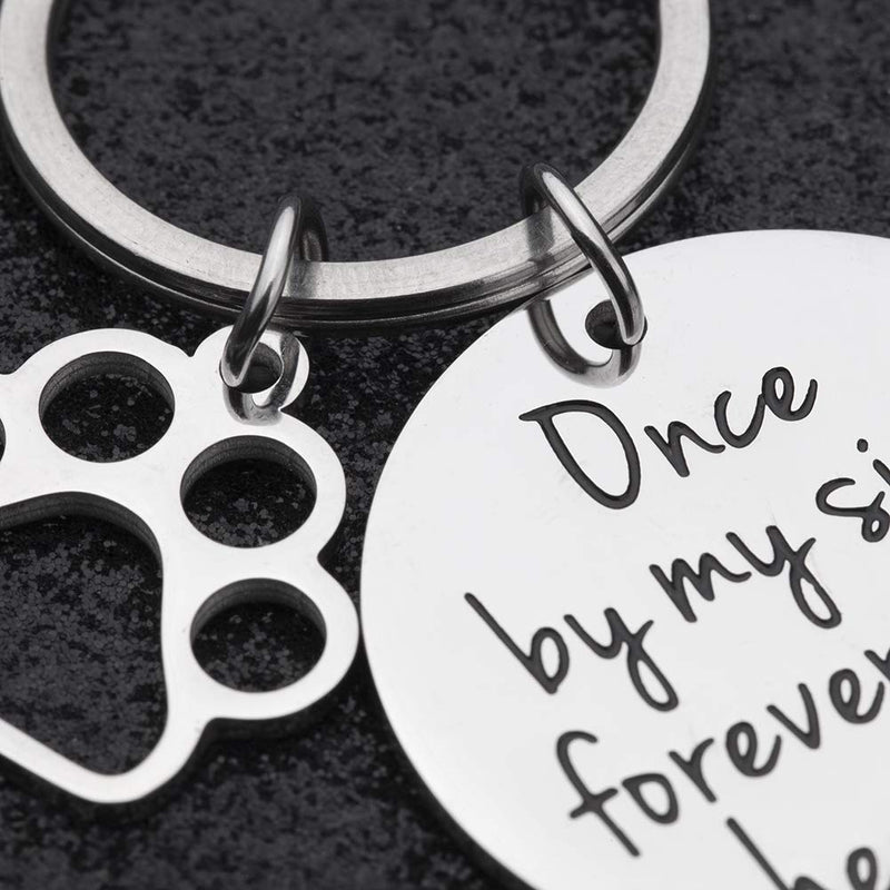 [Australia] - NUBARKO Loss of Pet Memorial Gift Keychain Necklace Jewelry Sympathy Gift Remembrance Angel with Paw Print Family Dog Cat Pet Key Ring 