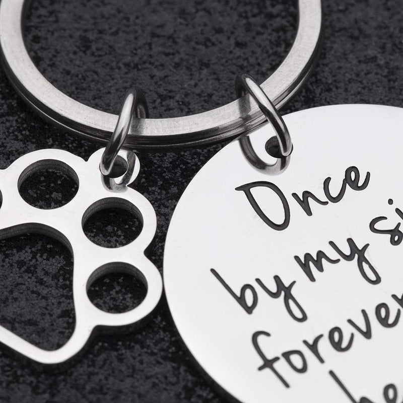 [Australia] - VANLOVEMAC Loss of Pet Memorial Keychain Dog Cat Remembrance Jewelry Pet Sympathy Gift Dog Remembrance for Women Men Once by My Side Forever in My Heart Key Ring 