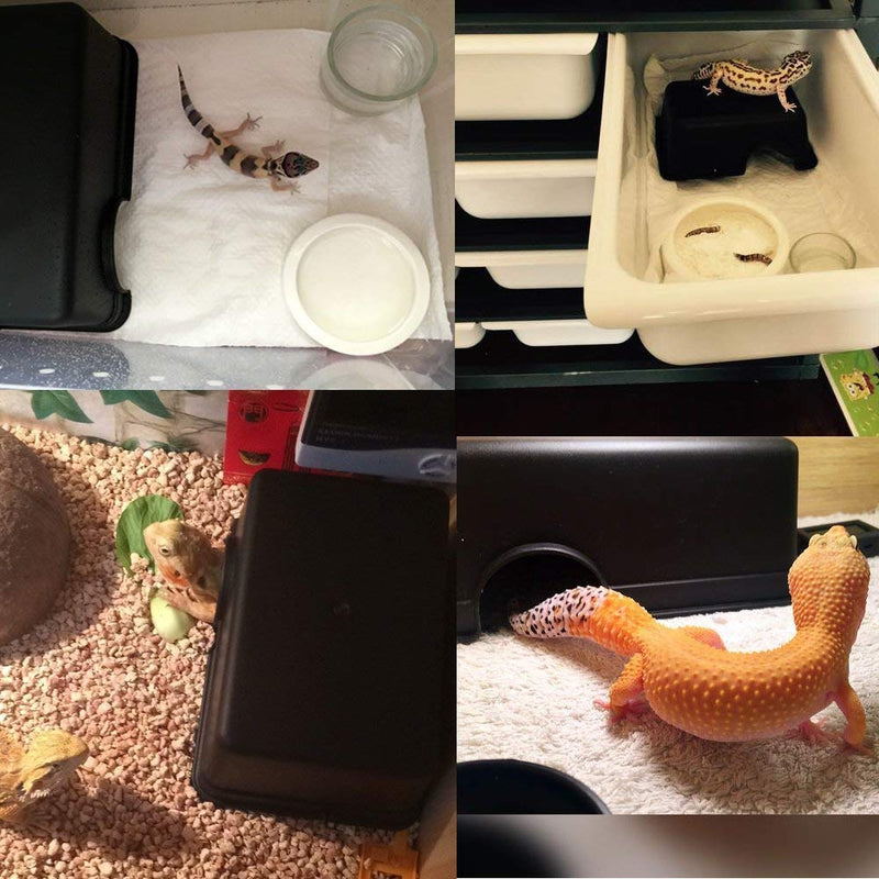 Wontee Reptile Hideout Box Small Animal Hide Cave for Snakes Lizards Leopard Gecko Rodents Spiders S & M - PawsPlanet Australia