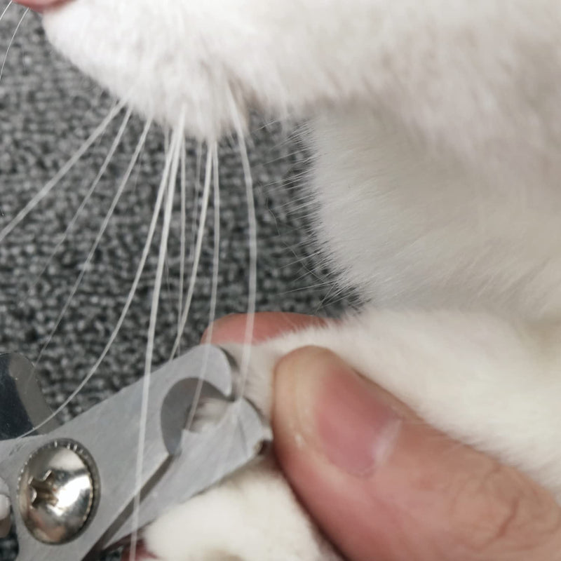 Yilisclothing Claw Scissors for Dogs, Pets Nail Clippers Claw Scissors for Cats Claw Clippers Claw Care Cutter with Nail File for Pets, Claw Care for Small Animals, 12.3 * 4.3cm - PawsPlanet Australia