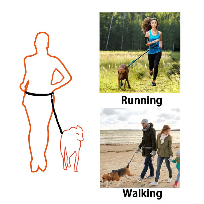 JVHLOV 165-240 cm jogging leash for dogs, retractable leash with double handle and waist belt, elastic and reflective running leash, premium dog leash for running and walking - PawsPlanet Australia