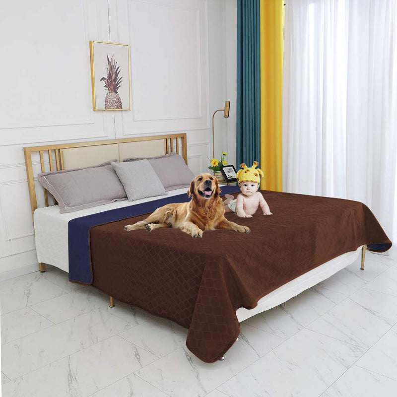 fuguitex Waterproof Dog Blanket Bed Cover Dog Crystal Velvet Fuzzy Cozy Plush Pet Blanket Throw Blanket for Couch Sofa 40*60” Chocolate+navy - PawsPlanet Australia