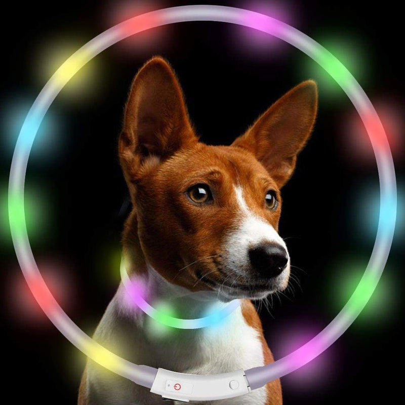 NEO+ UK SELLER ! Improved Dog Visibility & Safety USB Rechargeable LED Dog Safety Collar. Ultra-Bright LED's. Connects to Devices. Dog will be more Visible & Safe. One size fits all (cut to size) - PawsPlanet Australia