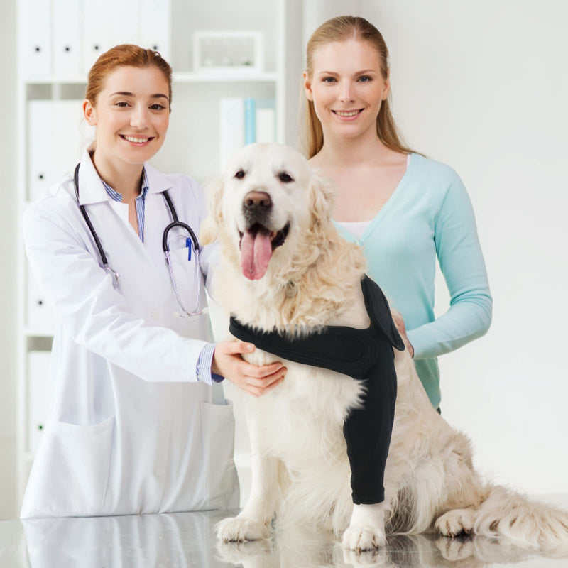 Recovery Sleeve Dog, Elbow Pads for Dogs, Elbow Bandage Protector, Dog Surgery Recovery Sleeves Front Right Left Leg for Hot Spots, Wounds, Bandages, Anti Licking for Dogs, Black XS - PawsPlanet Australia