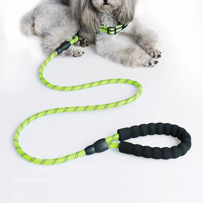Intirilife Reflective Nylon Dog Lead Pet Lead in Green with 1.5 Meters Length for Walking with Your Pet - PawsPlanet Australia
