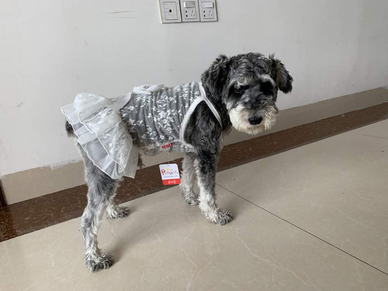 [Australia] - BBEART Pet Skirt,Dog Lace Princess Skirt Wedding Dresses, Lovely Bow Breathable Pet Clohtes for Cats Puppy Small Dogs L: Back Length 30cm White 