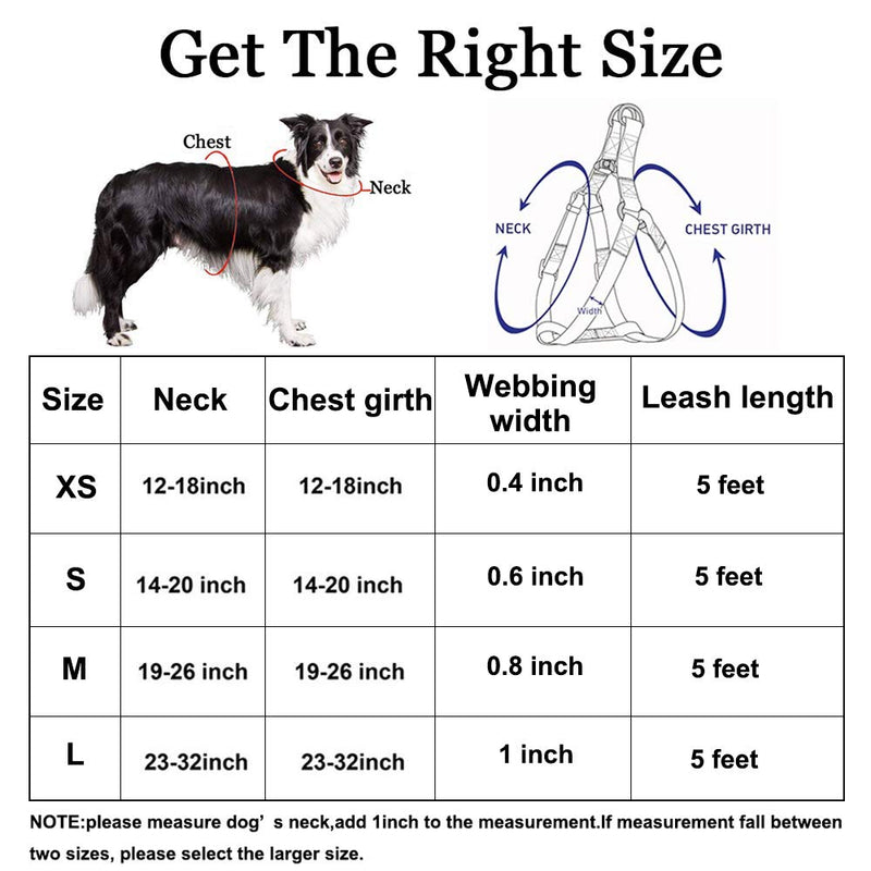 [Australia] - QQPETS Dog Harness and Leash Set Adjustable Back Clip No Pull Quick Fit/Release Halter Harness with Heavy Duty Leash 5FT Long for Extra Small Medium Large Breed Dogs Training Easy Walk M(19"-26" Chest Girth) Bohemia 