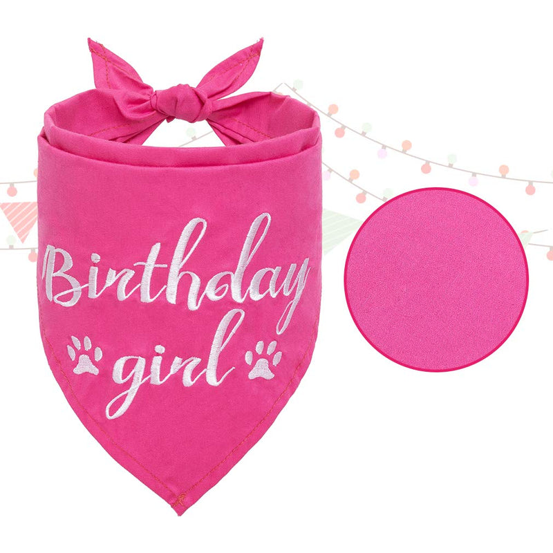 BINGPET Dog Birthday Bandana Girl Scarf and Reusable Dog Birthday Hat with 0-8 Figures Pink - PawsPlanet Australia