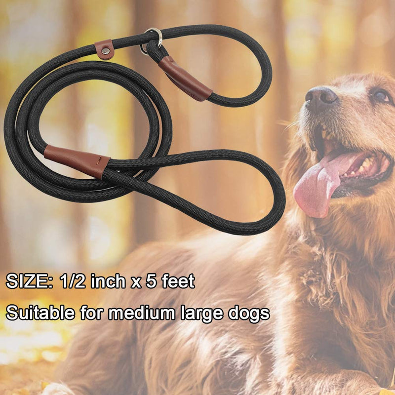 BTINESFUL 5FT Durable Slip Lead Rope Dog Leash, No Pull Nylon Training Leash for Medium Large Dogs, 1/2" X 5', Black 1/2" x 5 feet - PawsPlanet Australia