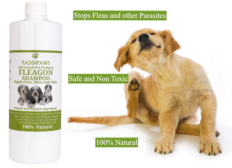 100% Natural Flea Shampoo - Antibacterial - Anti Fungal Shampoo - Natural Control and Prevention from Fleas and other Parasites - Safe Chemical Free Natural Flea Away Shampoo - 500ml - PawsPlanet Australia