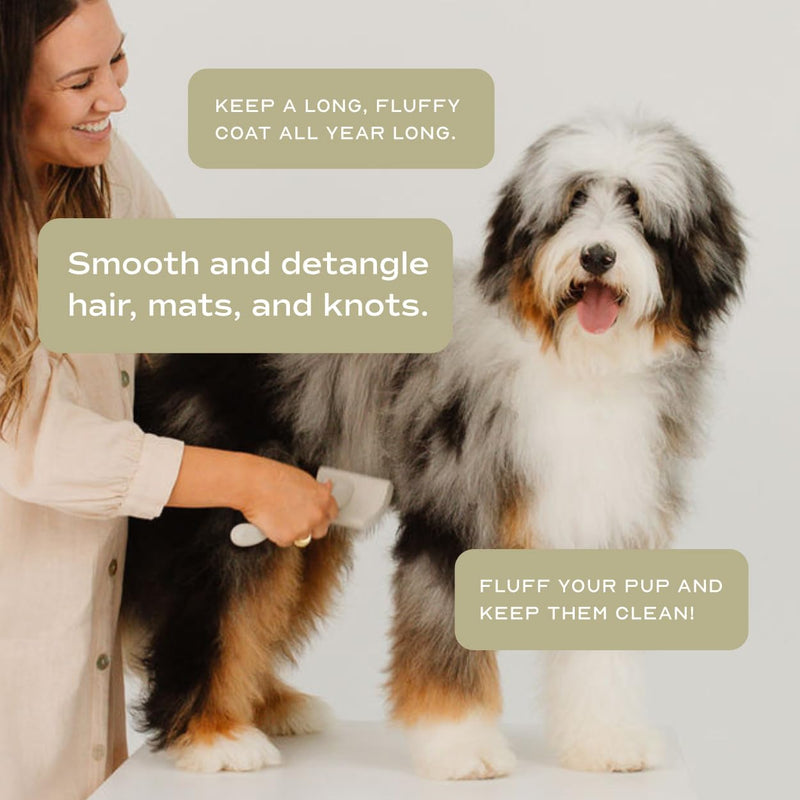 Slicker Brush for Professional and Luxury Dog Grooming to Prevent Matting with Dense and Extra Long Stainless Steel Pins (Goldendoodles, Labradoodles, Poodles) - PawsPlanet Australia