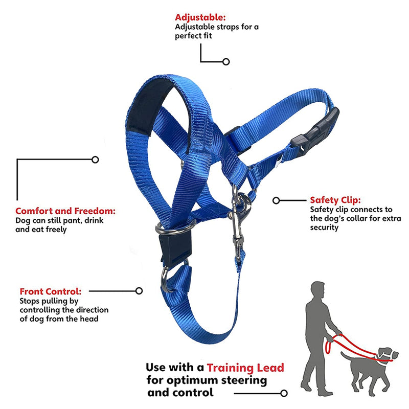 Head Collar for Dogs, No Pull Dog Head Halter with Soft Padding, Headcollar with Adjustable Buckle for Medium Large Dogs, Training Guide Included M (Snout: 7.1"-8.7") Blue - PawsPlanet Australia
