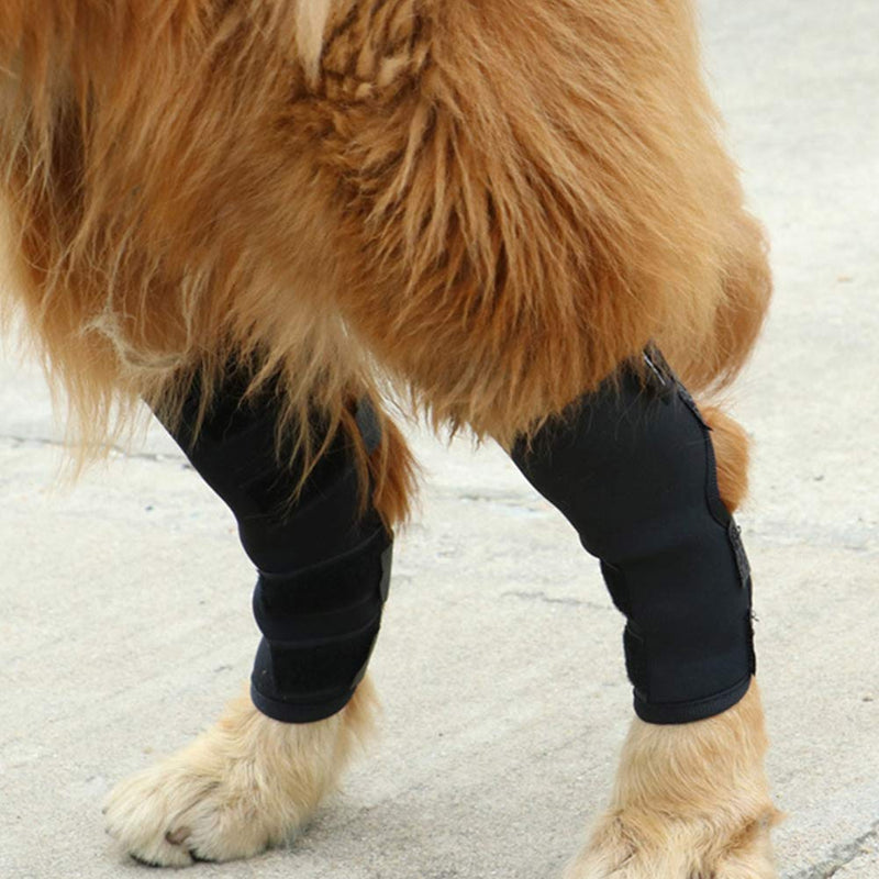 2 Pcs Dog Leg Brace Dog Knee Wrap For Legs Canine Rear Hock Support Hind Leg Wounds, Injuries And Sprains From Arthritis Loss Of Stability Elderly Dogs - PawsPlanet Australia