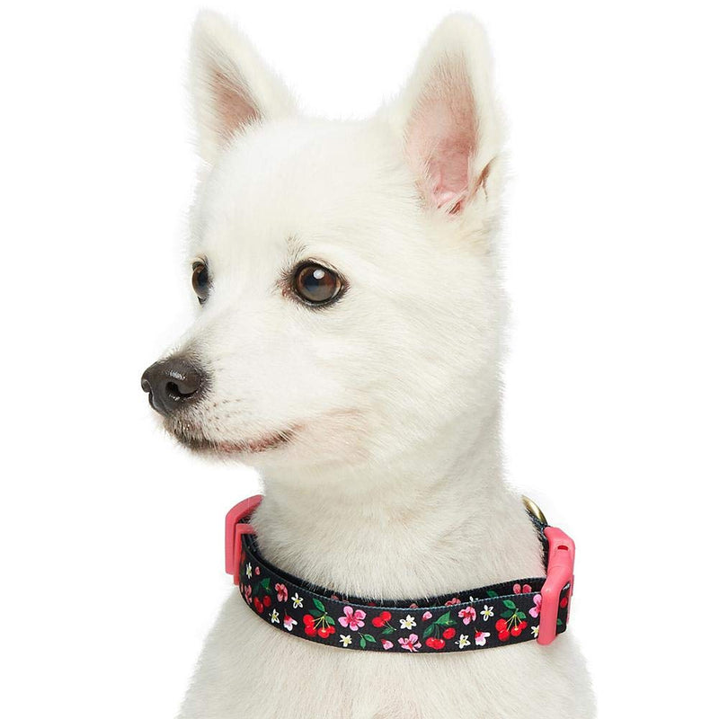 [Australia] - Blueberry Pet 10 Patterns Spring Scent Floral Dog Collars, Personalized Collars Regular Collar - X-Small Black 