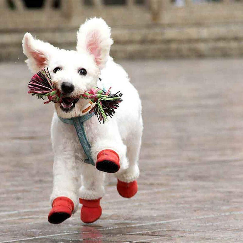 N\A 4 Pcs Pet Paw Protector Anti-Slip Dog Shoes Pet Dog Boots for Pet Climbing Walking - PawsPlanet Australia