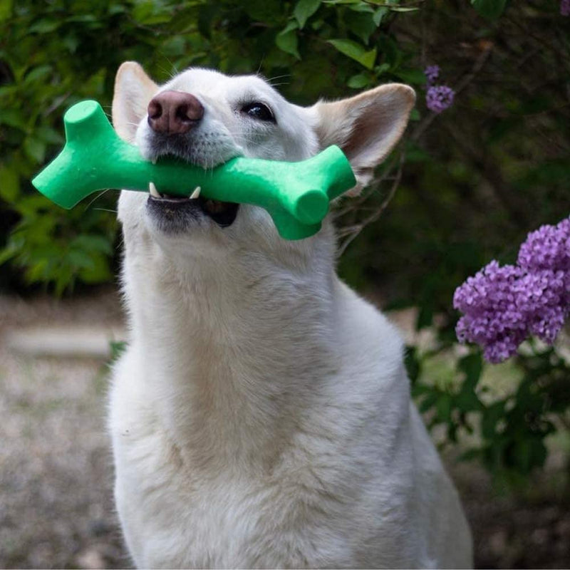 Pet Qwerks BarkBone Stick - For Aggressive Chewers Mint Medium - PawsPlanet Australia