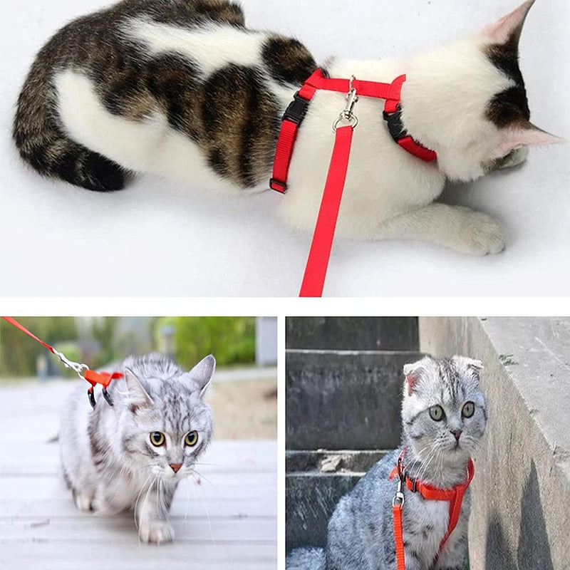 TOTQX Red Cat Harness Adjustable, Escape-Proof cat Vest, cat Harness with Leash, for Cats Small Dogs Rabbits Reflective Stripes cat Vest - PawsPlanet Australia