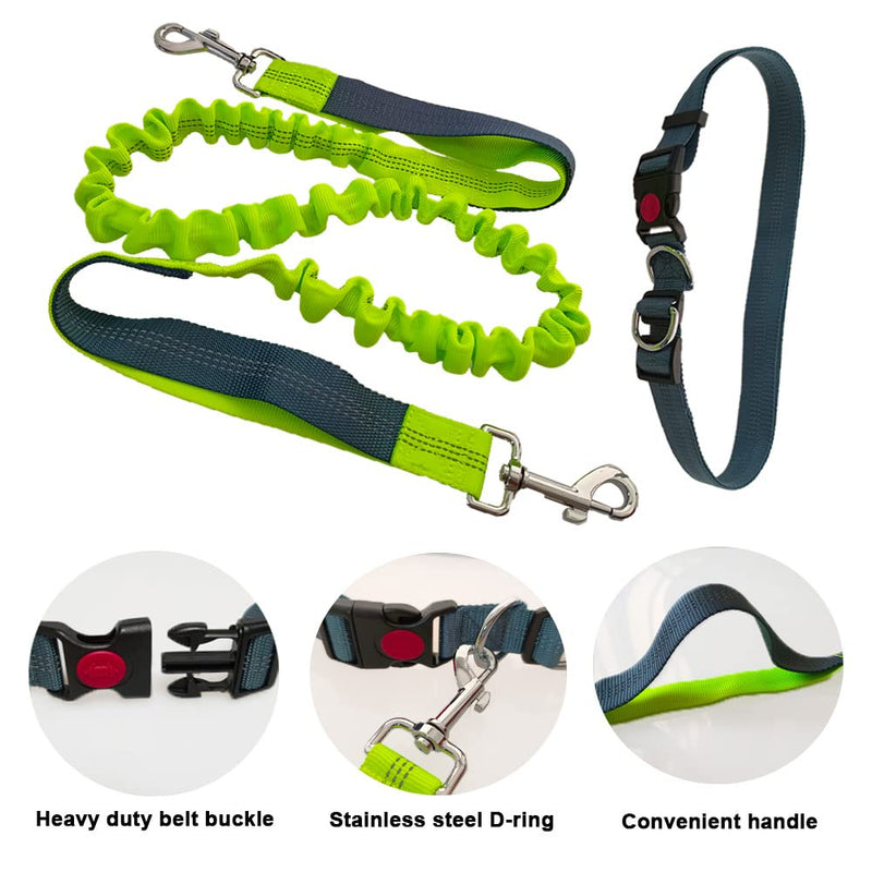 QitinDasen Hands-Free Dog Leash, Gray Adjustable Waist Belt and Green Stretchy Bungee Leash, Jogging Dog Leash with Reflective Stitching - PawsPlanet Australia