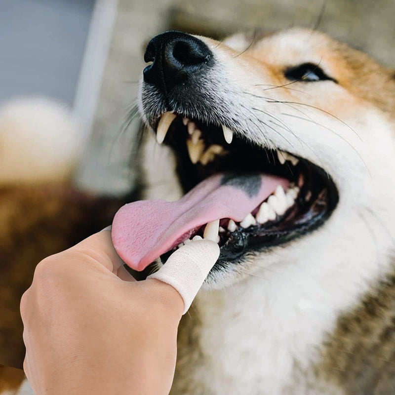 Molain Pack of 6 Dog Toothbrushes - 360º Nylon Pet Tooth Finger Brush for Dogs Cat Toothbrushes - Full Surround Bristles Dog Toothbrush for Easy Cleaning of Tongue and Teeth (White) - PawsPlanet Australia
