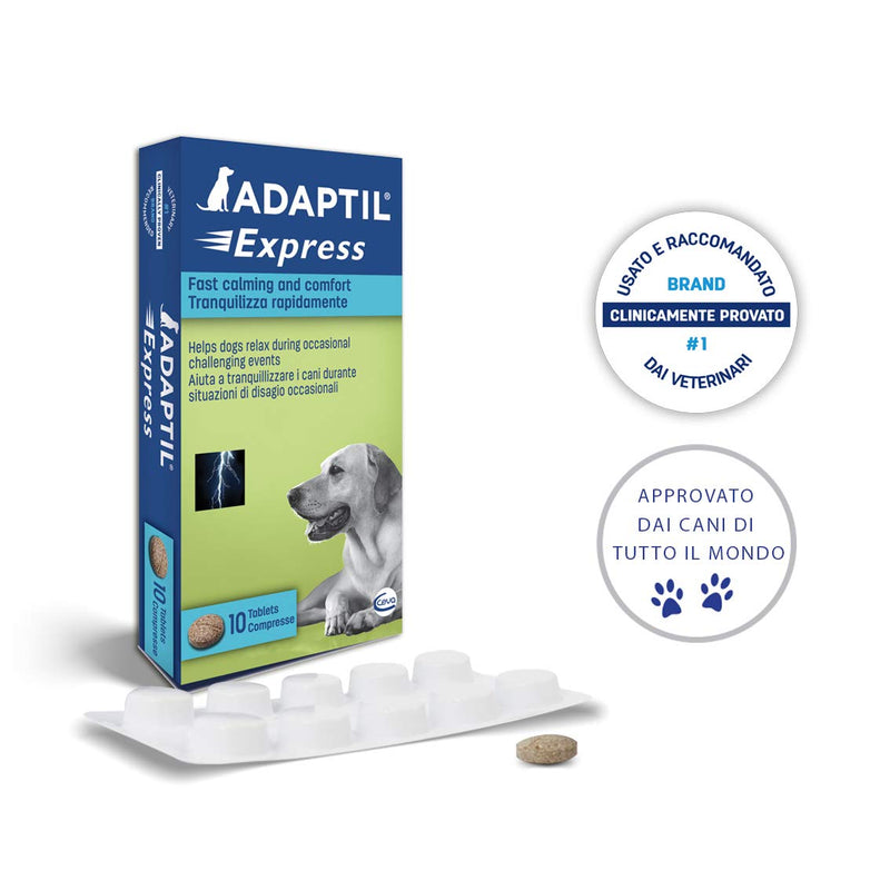 ADAPTIL Express Tablets, fast calming for anticipated events such as thunderstorms, vet visits, groomers and fireworks - Pack of 10 tablets - PawsPlanet Australia
