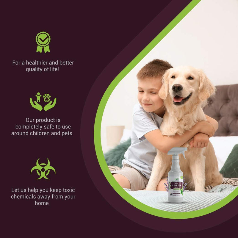 mdxconcepts Organic Flea and Tick Control Spray for Dogs - Made in USA - Peppermint Oil Flea Treatment for Dogs –Flea Repellent 100% Natural –Essential Oils – Flea Killer - Safe to Use –16 oz - PawsPlanet Australia