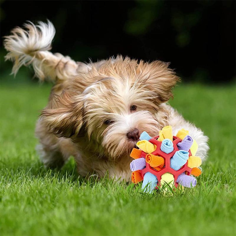 Jiahuade Sniffing Ball for Dogs, Sniffing Toy for Dogs, Sniffing Carpet Intelligence Toy, Washable Interactive Dog Toy Ball 20 cm for Food Search Instinct Training (B) B - PawsPlanet Australia