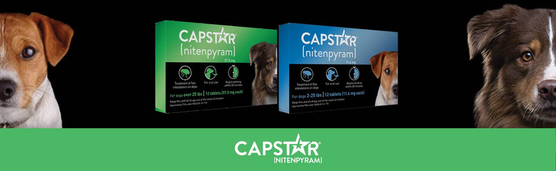 Capstar Oral Flea Treatment for Small Dogs (2-25 lbs), Fast Acting, 12 Tablets - PawsPlanet Australia